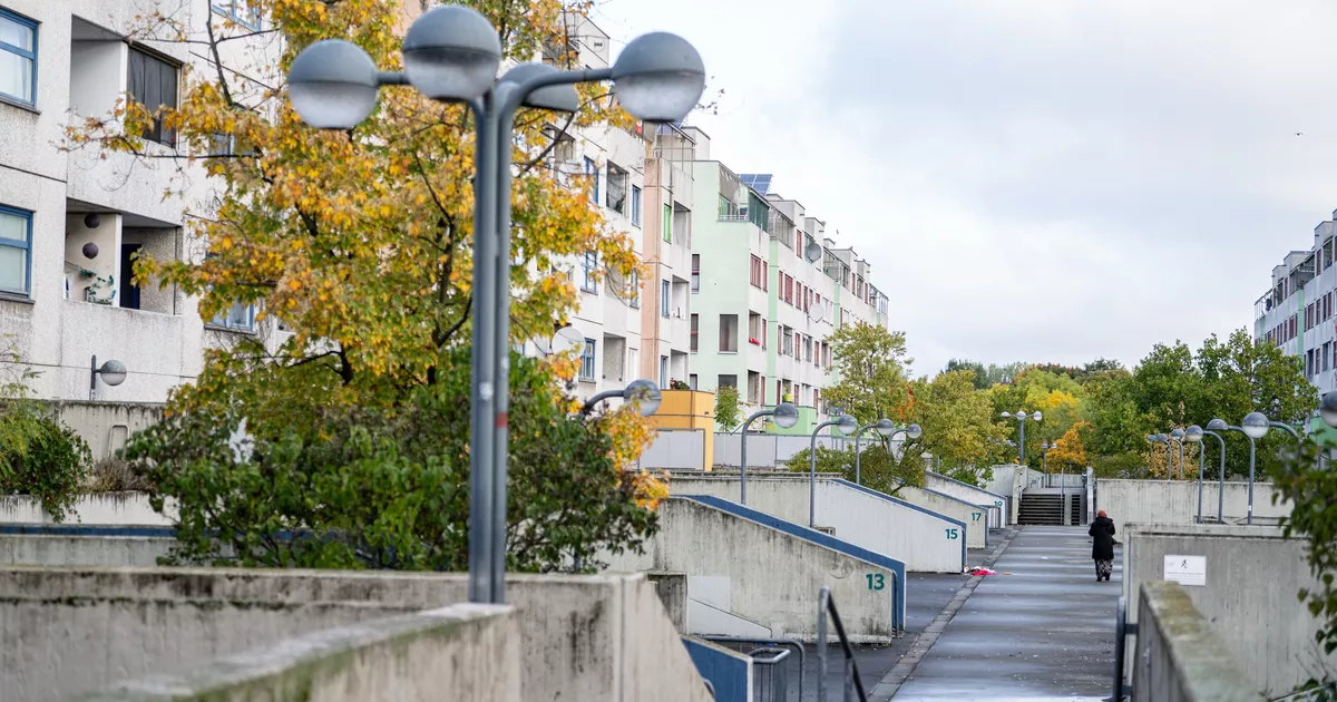 En Allemagne, les services sociaux accusés d’avoir dissimulé un viol à cause de l’origine des suspects