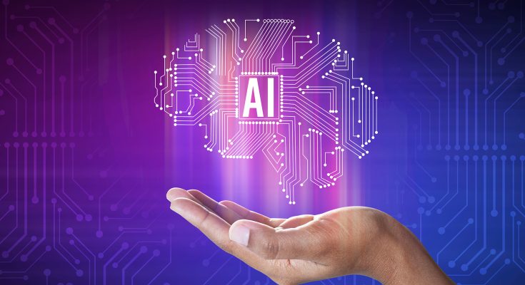 قمة الويب تثير سؤال.. كيف يزرع الجنوب