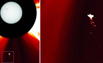 جسم غامض شبيه بالطير