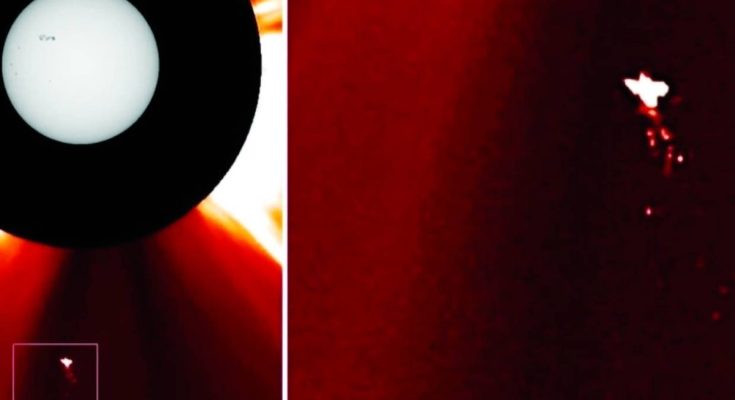 جسم غامض شبيه بالطير