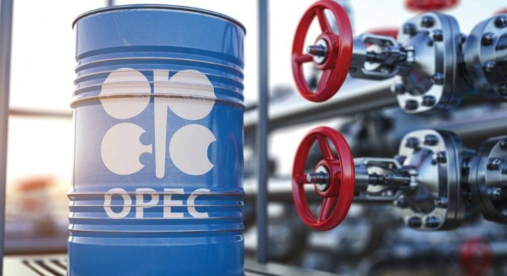 أوبك+ ترفع الإنتاج 206 آلاف برميل يومياً