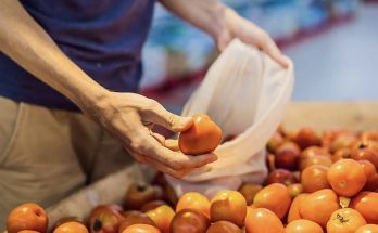 بجاهزية استباقية.. الإمارات تؤكد متانة أمنها الغذائي