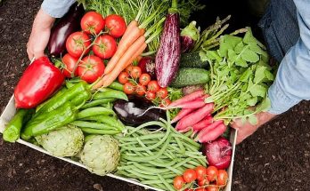 الإمارات تطمئن الجمهور: سلاسل التوريد تعمل بدقة..