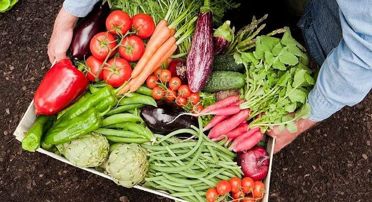 الإمارات تطمئن الجمهور: سلاسل التوريد تعمل بدقة..